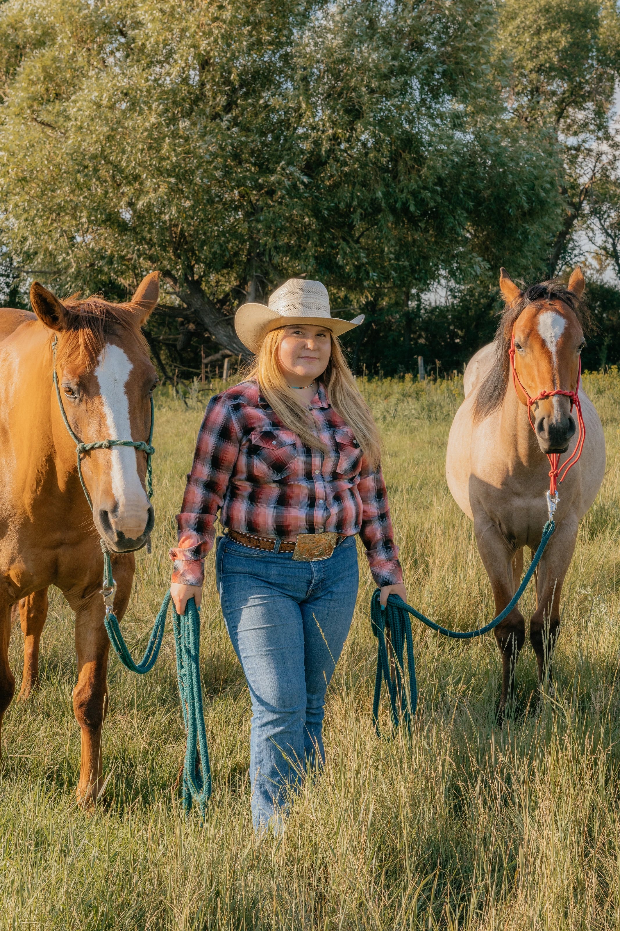 Southern Sky Horsemanship, photo 14