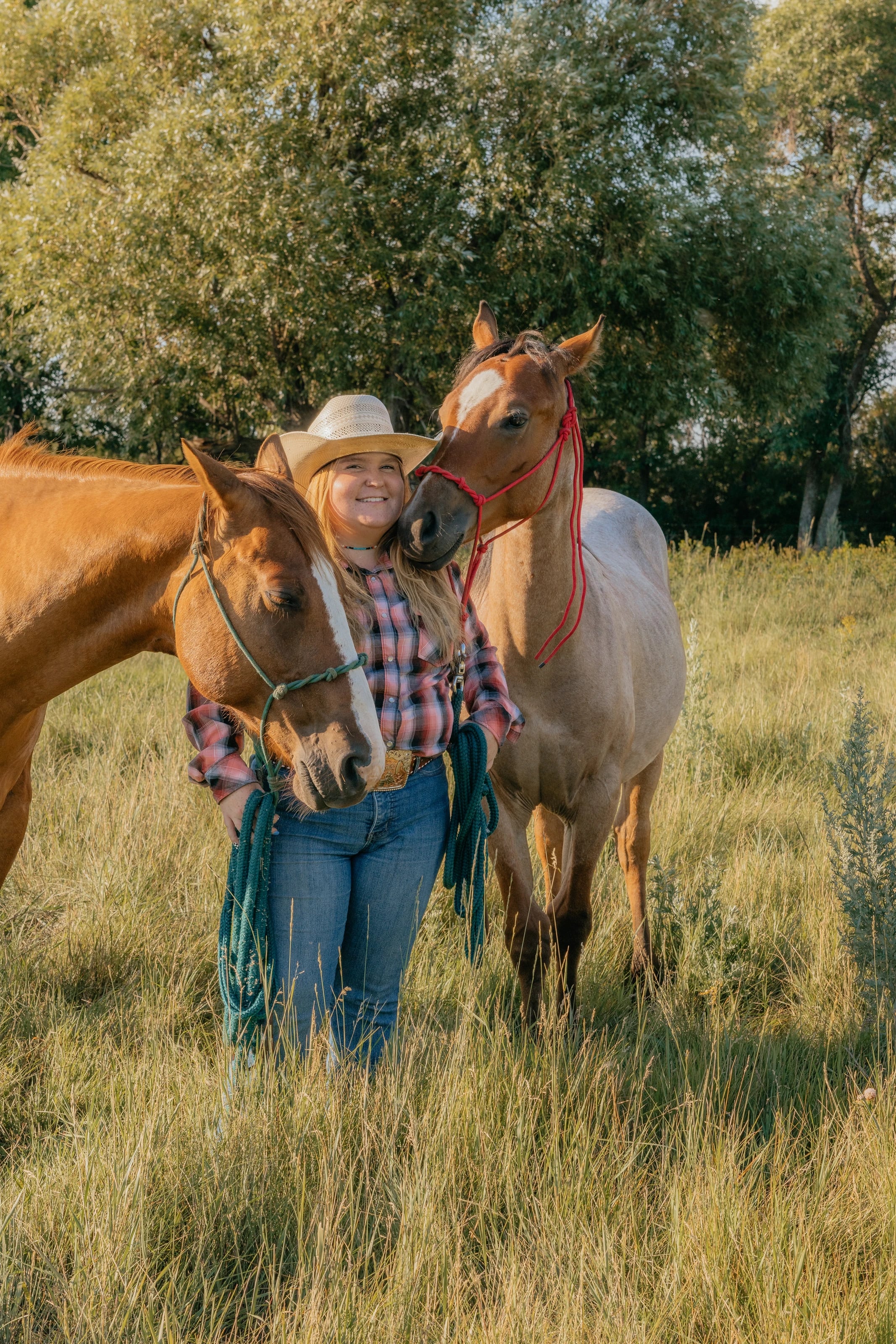 Southern Sky Horsemanship, photo 9