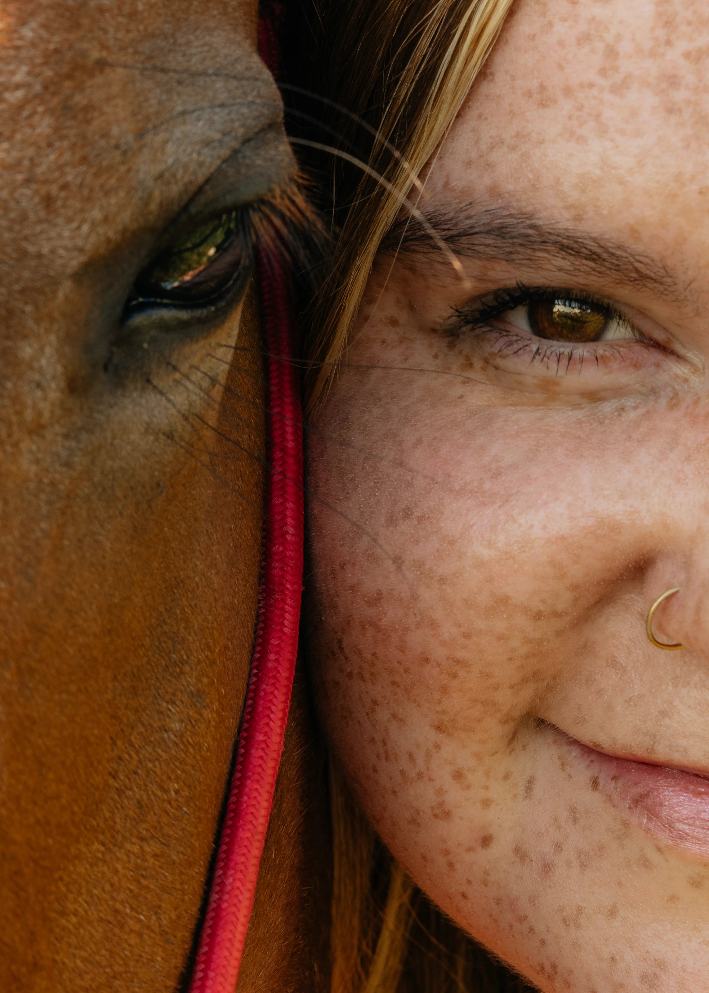 Jayden and her horse, a close portrait comparing their eyes
