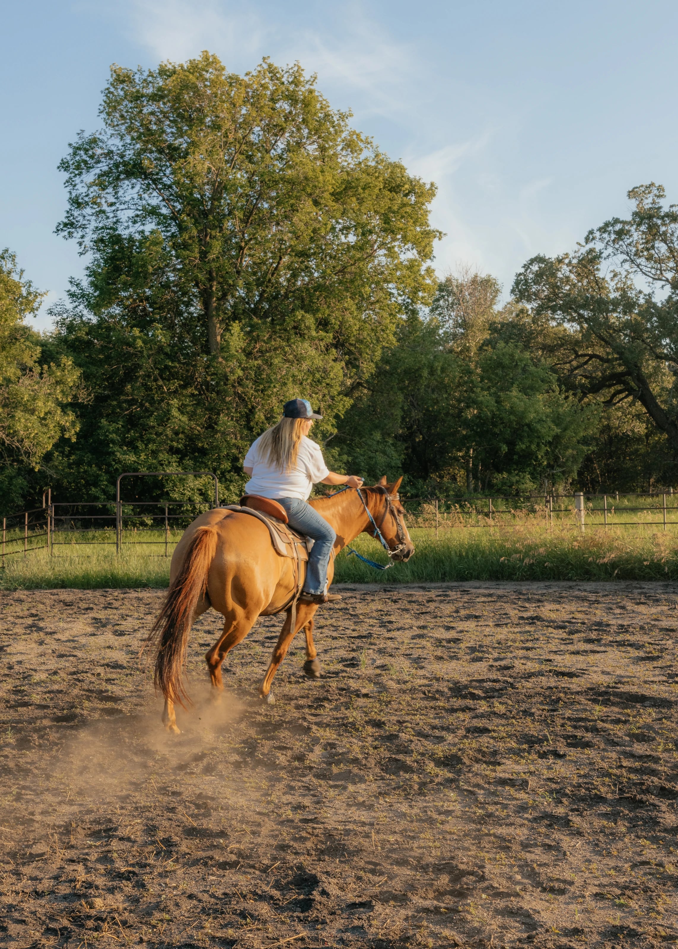 Southern Sky Horsemanship, photo 7