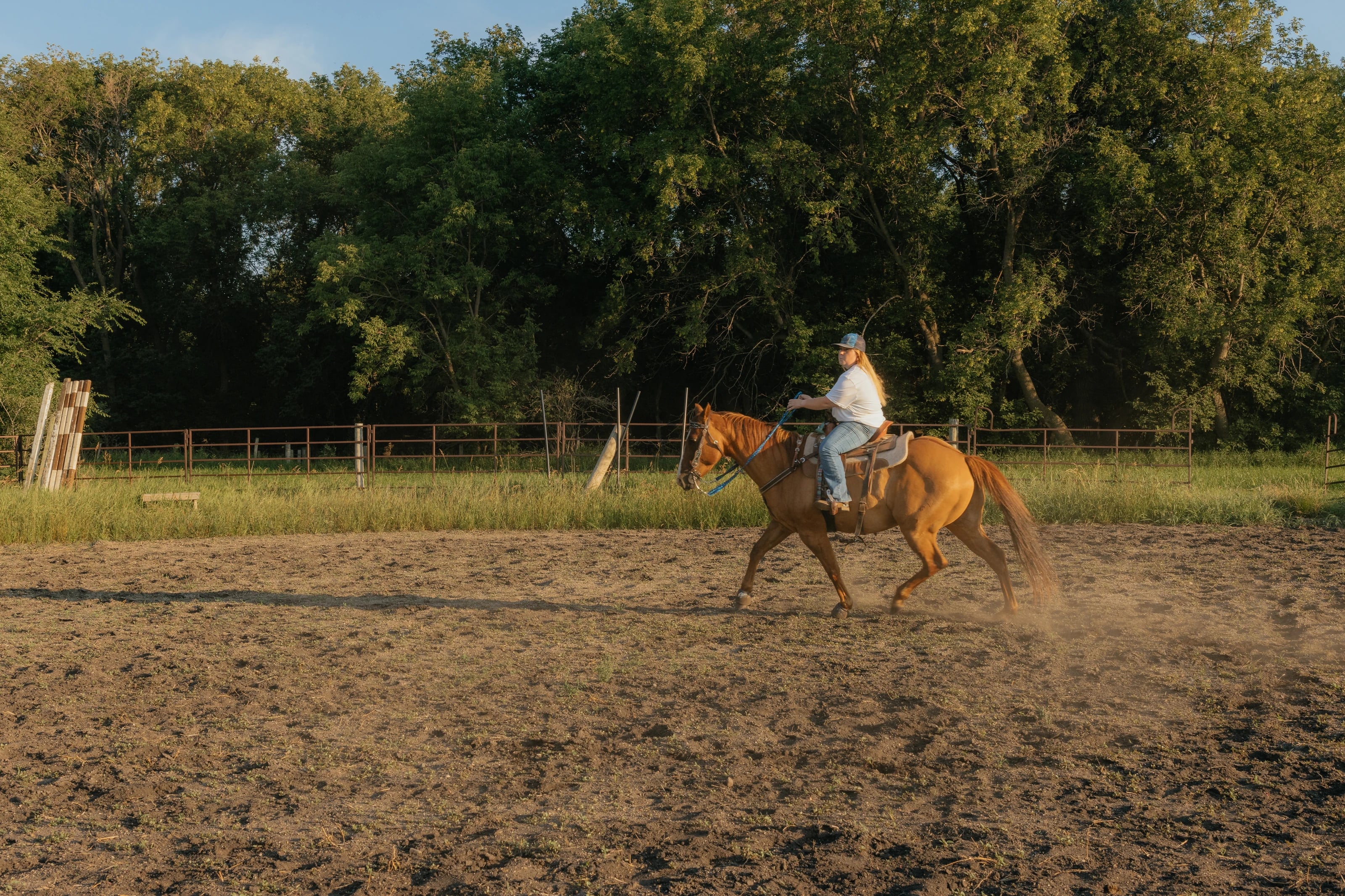 Southern Sky Horsemanship, photo 4