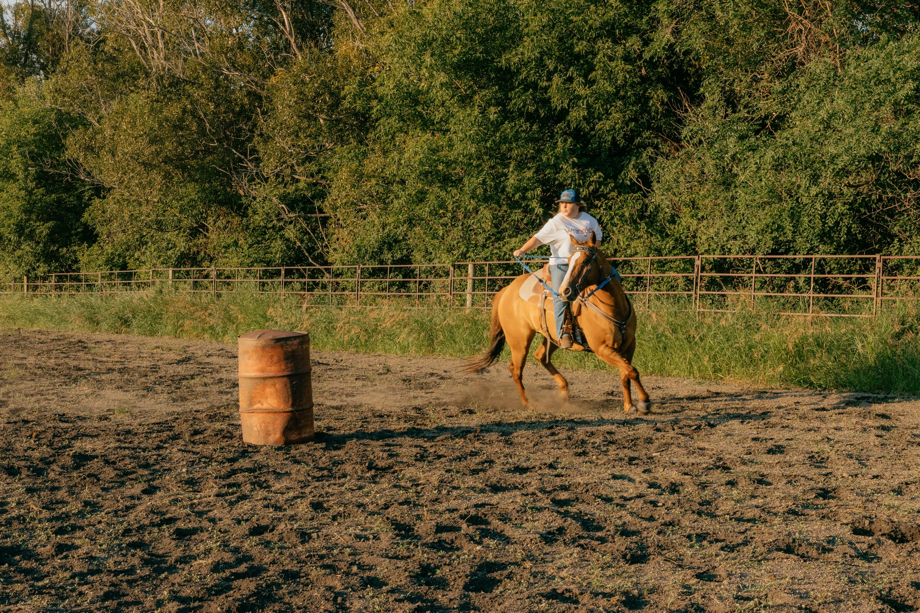Southern Sky Horsemanship, photo 11