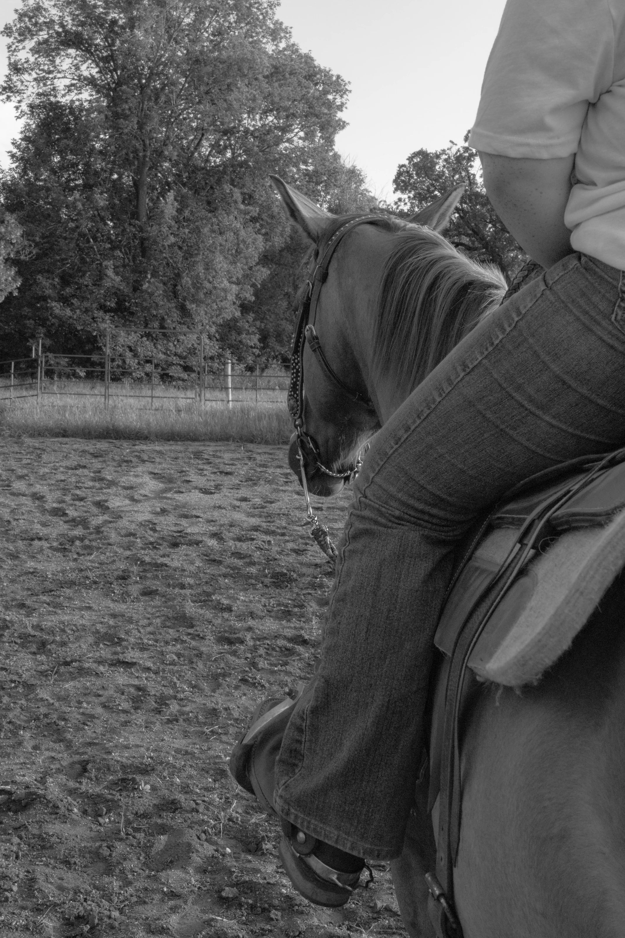 Southern Sky Horsemanship, photo 13