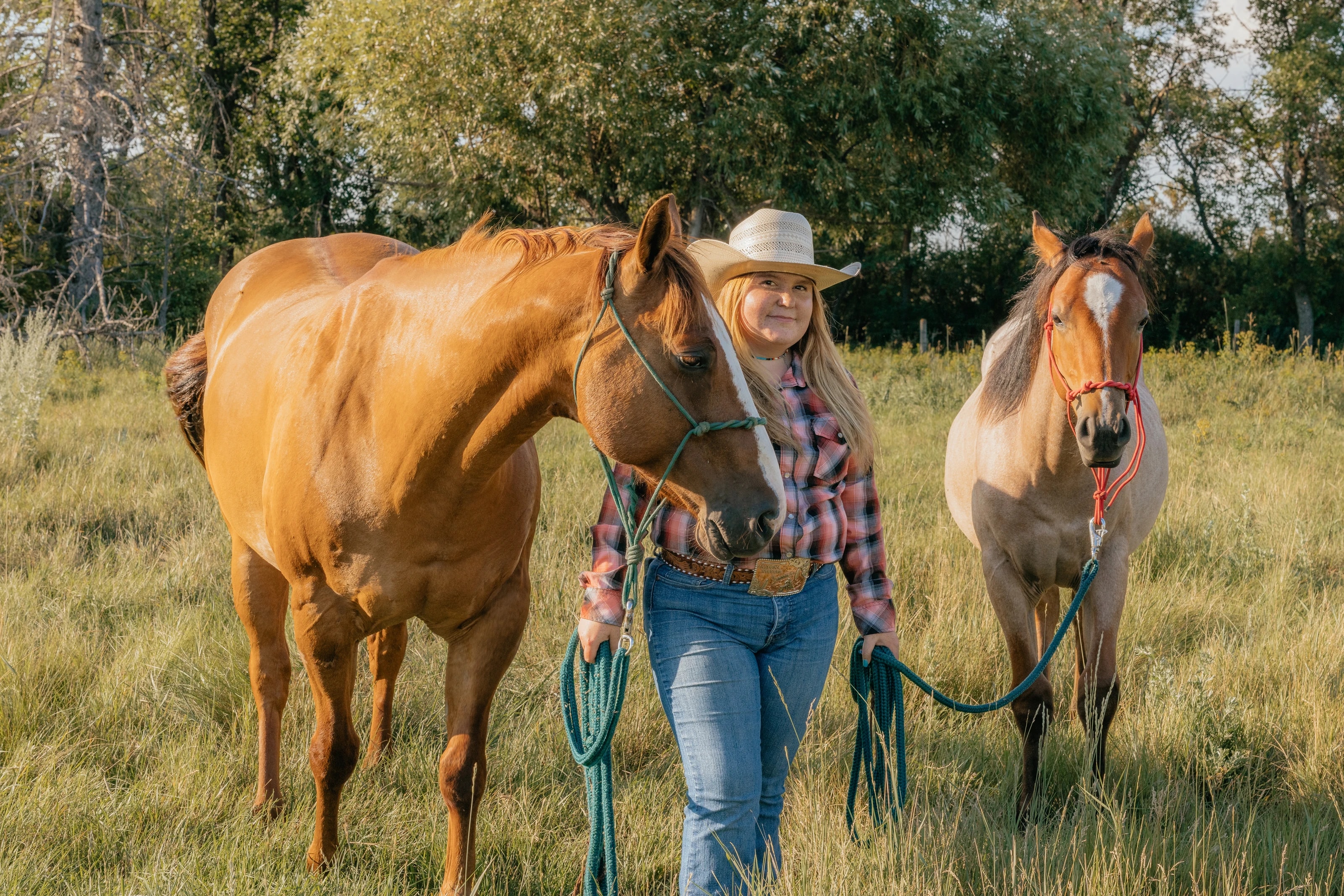 Southern Sky Horsemanship branding session
