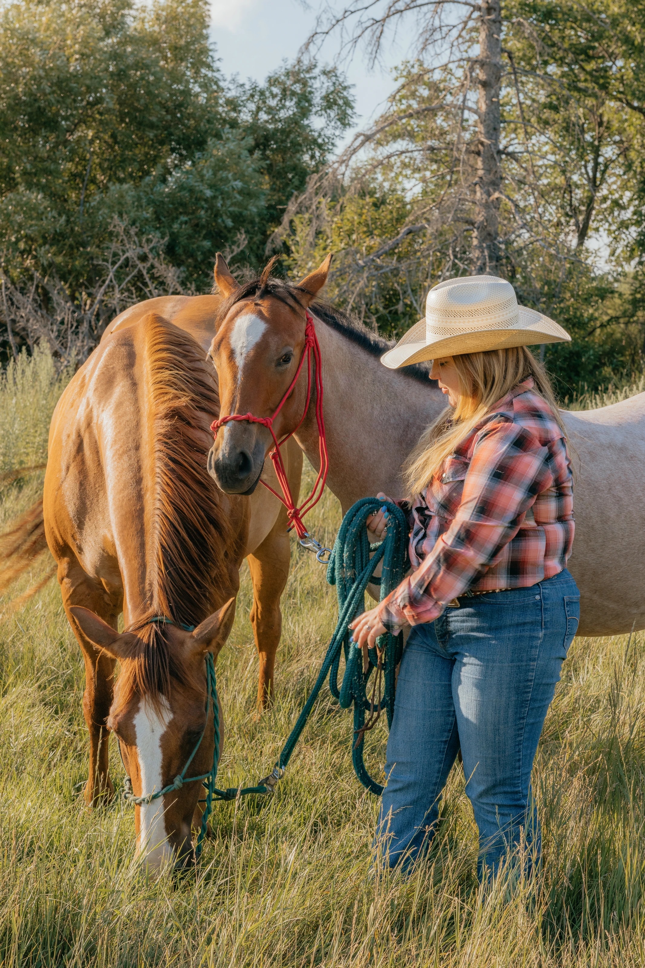 Southern Sky Horsemanship, photo 15